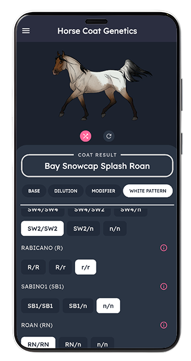 Horse Coat Genetics App Screenshot